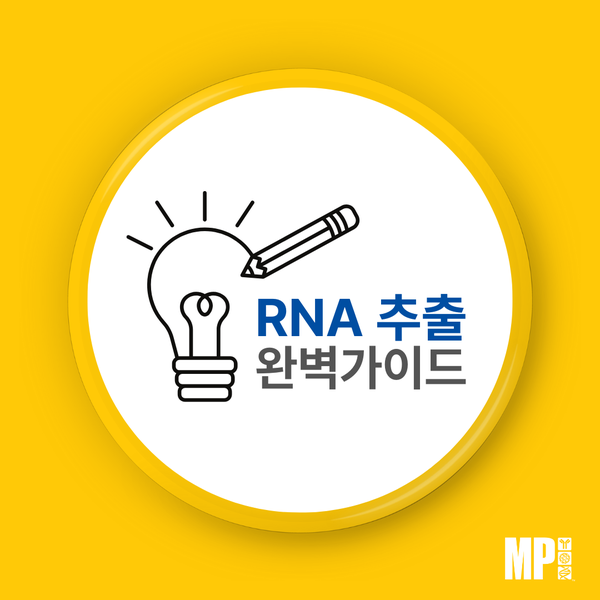  RNA Extraction 완벽 가이드 - RNA를 안정적으로 추출해 downstream 실험을 성공시키는 방법