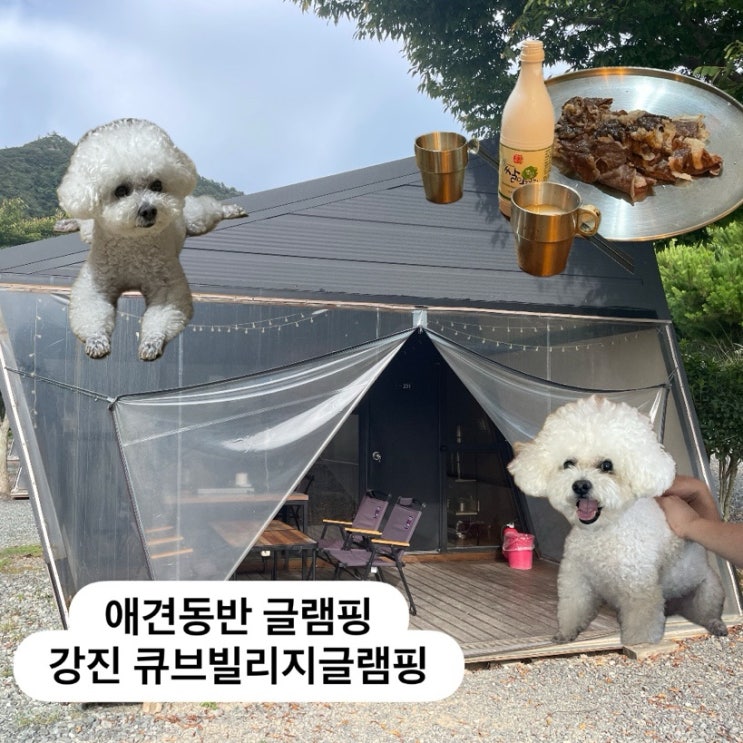  전남 글램핑 큐브빌리지글램핑, 강아지와 힐링캠핑 후기
