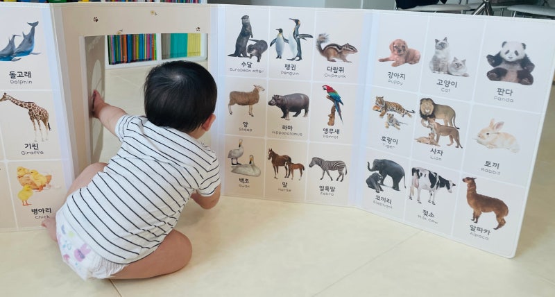 블로그 후기 사진