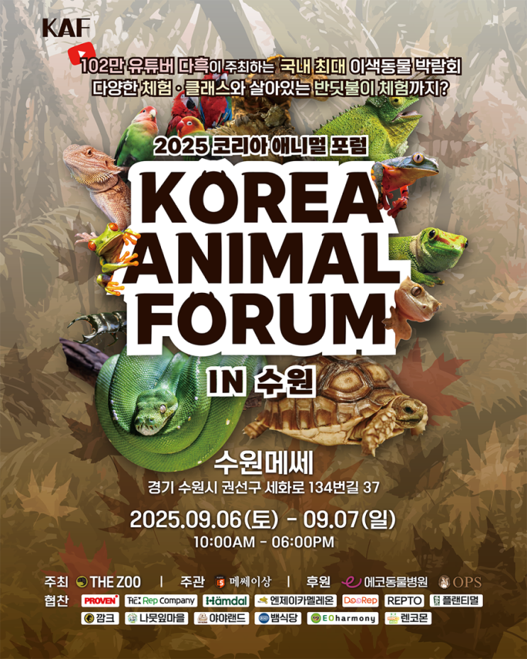  주말 여행 아이와함께 가볼만한곳, 수원 메쎄 반려동물 축제 행사 [2025 코리아 애니멀포럼]