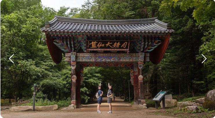 오대산 전나무 숲길, 선재길 트레킹(월정사, 상원사, 주차장, 대중교통, 버스시간)