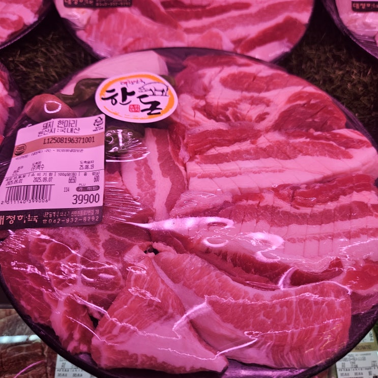  우당탕탕초보아빠의 또간집 신탄진 맛집 대청하녹