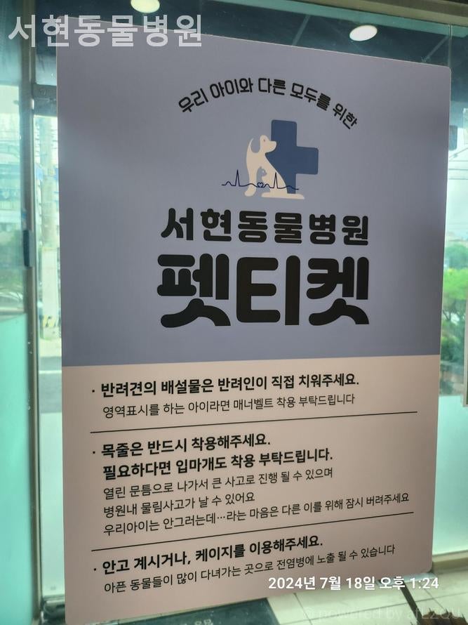 서현동물병원 사진 5