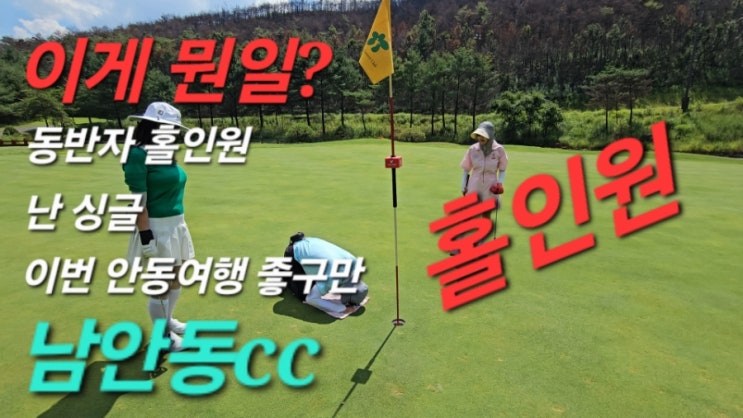  안동산불이후 찾아간 남안동cc 비가온뒤 더 굳건해지듯 잔디상태 너무 좋네요