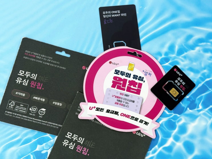  모두의 원칩 파는 곳과 선불폰 개통 방법 안내