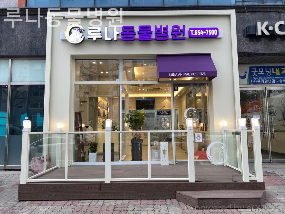 루나동물병원 사진 1