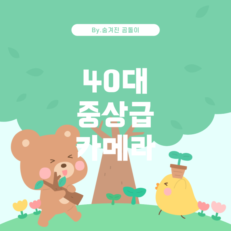  0대 중상급용 카메라 추천 가이드 4