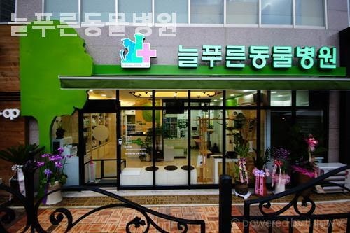 늘푸른동물병원 사진 1