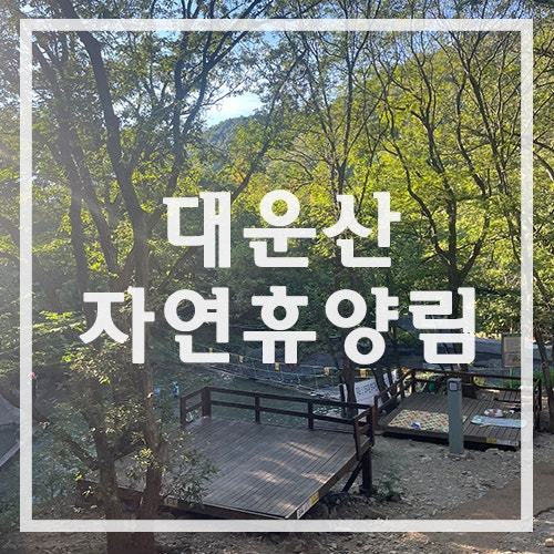 대운산 자연휴양림 캠핑장 후기-계곡 물놀이 및 야영데크 꿀자리 추천