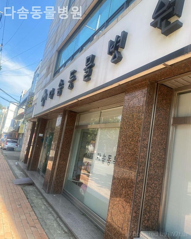 다솜동물병원 사진 5