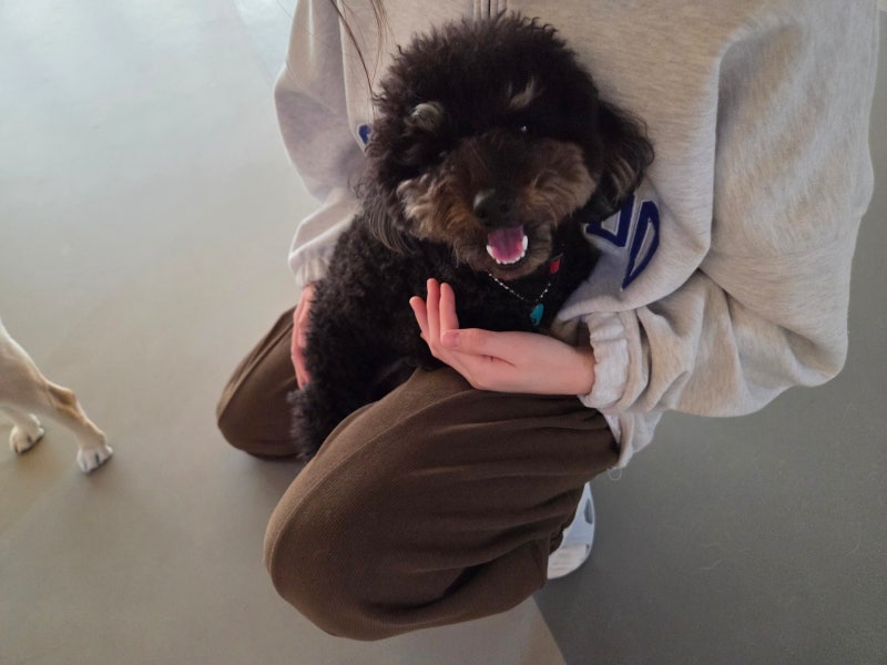 사진 4
