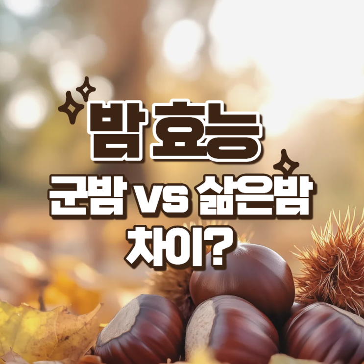  밤효능 햇밤수확시기 혈당?!