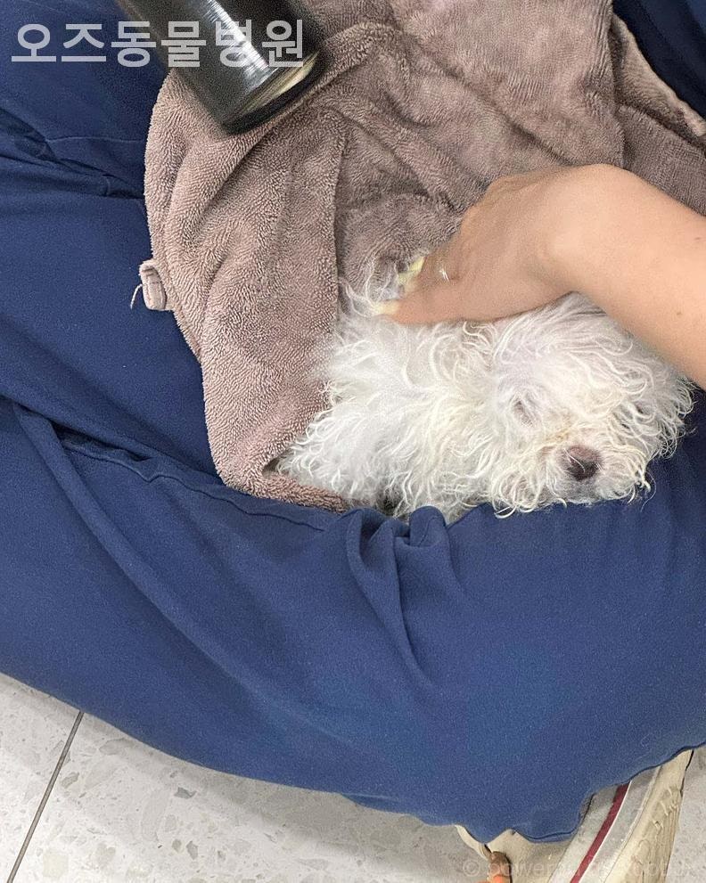 오즈동물병원 사진 2