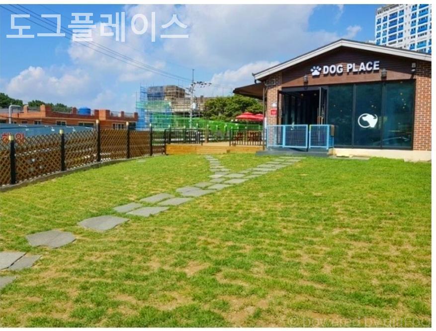 도그플레이스 사진 1