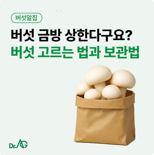 [버섯알ZIP] 버섯 금방 상한다구요? 신선한 버섯 고르는 법과 오래 두는 보관법