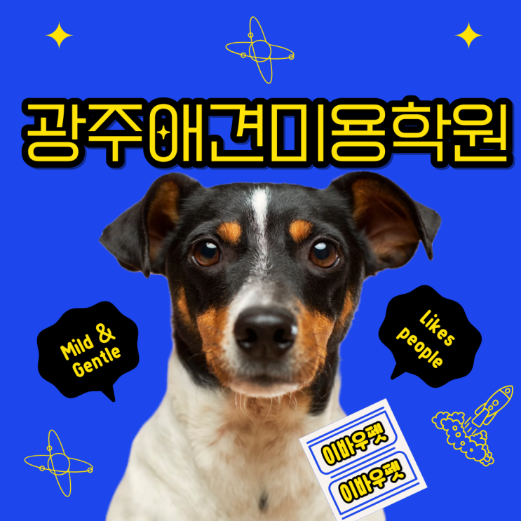  광주애견미용학원 어디가 좋을까? 이바우펫에서 답을 찾다