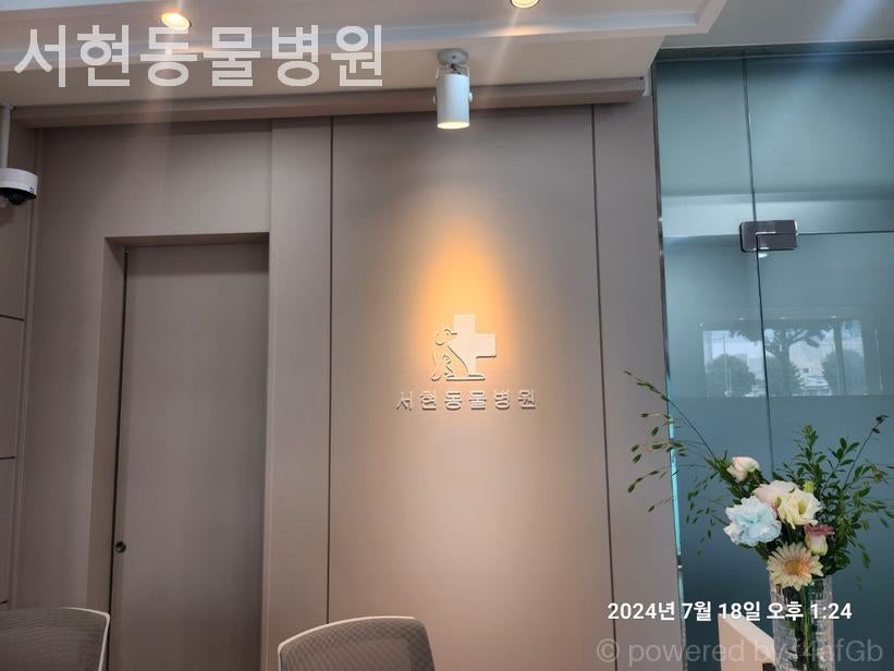 서현동물병원 사진 2
