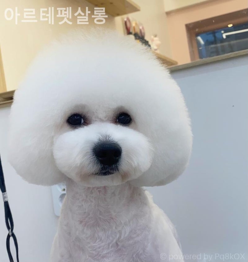 사진 5