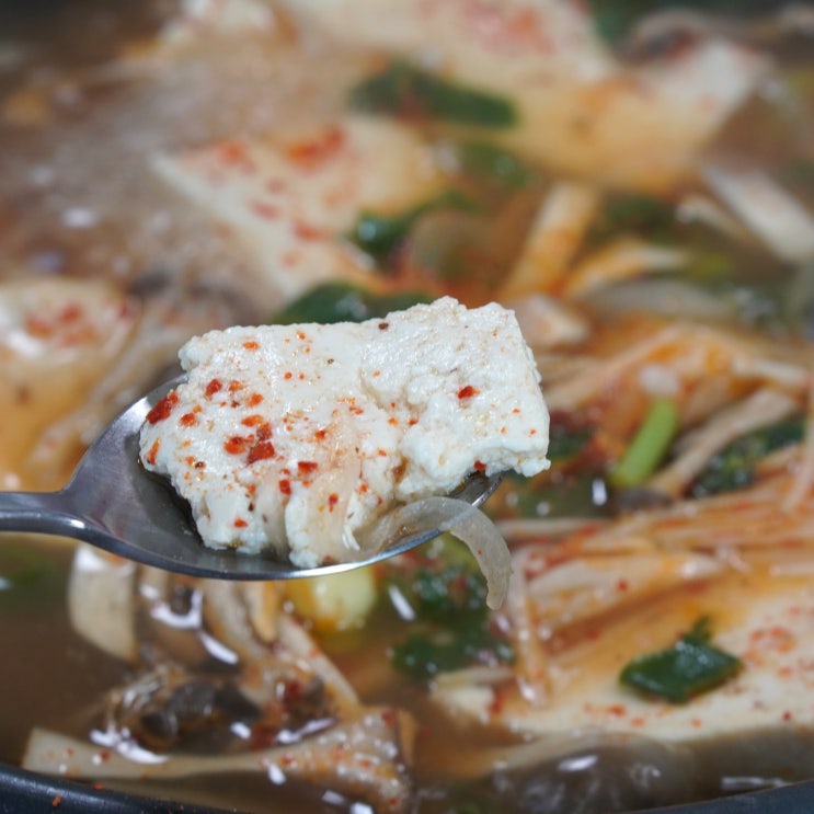  강원도 고성 현지인 맛집, 산촌애식당 직접 만든 두부 맛있네