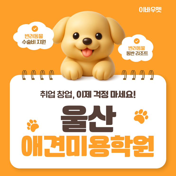  울산애견미용학원 국비보다 실질적인 특별혜택 알아보기
