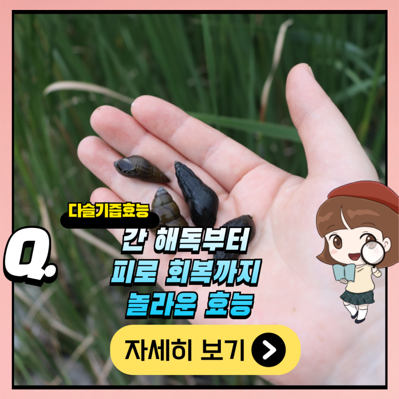 다슬기즙효능 다슬기액기스 간 해독부터 피로 회복까지