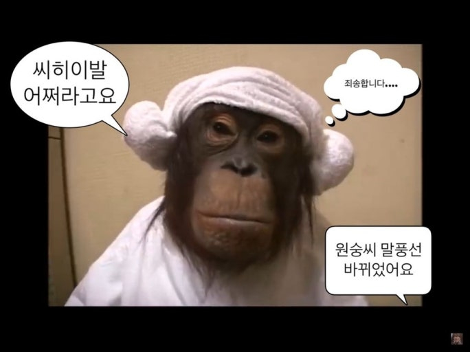 [250903] 네이버야 별 걸 다 시키누...(글감 기능을 처음 써보아요^^!)