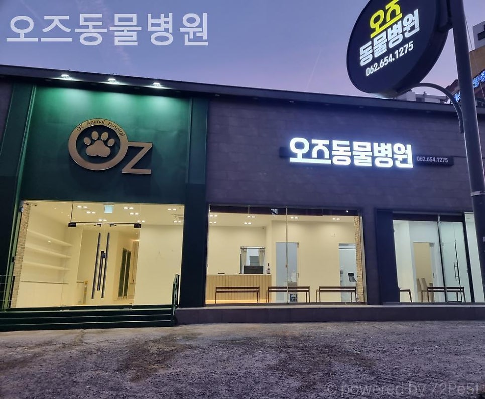 오즈동물병원 사진 1