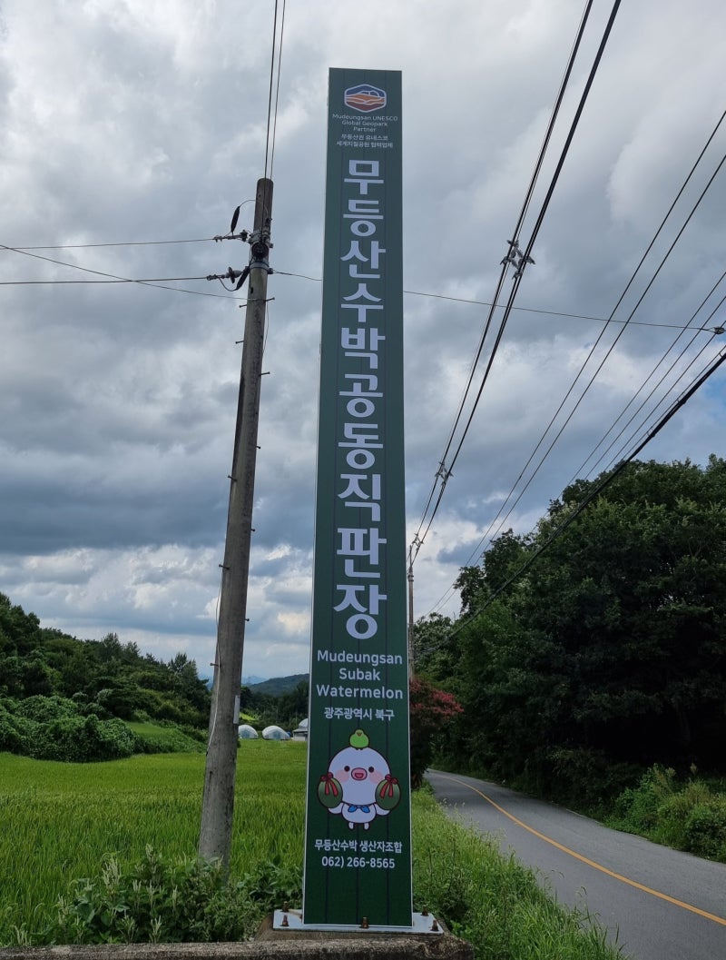 입안에서 살살 녹는 무등산 수박 '푸랭이' 맛 보셨나요?