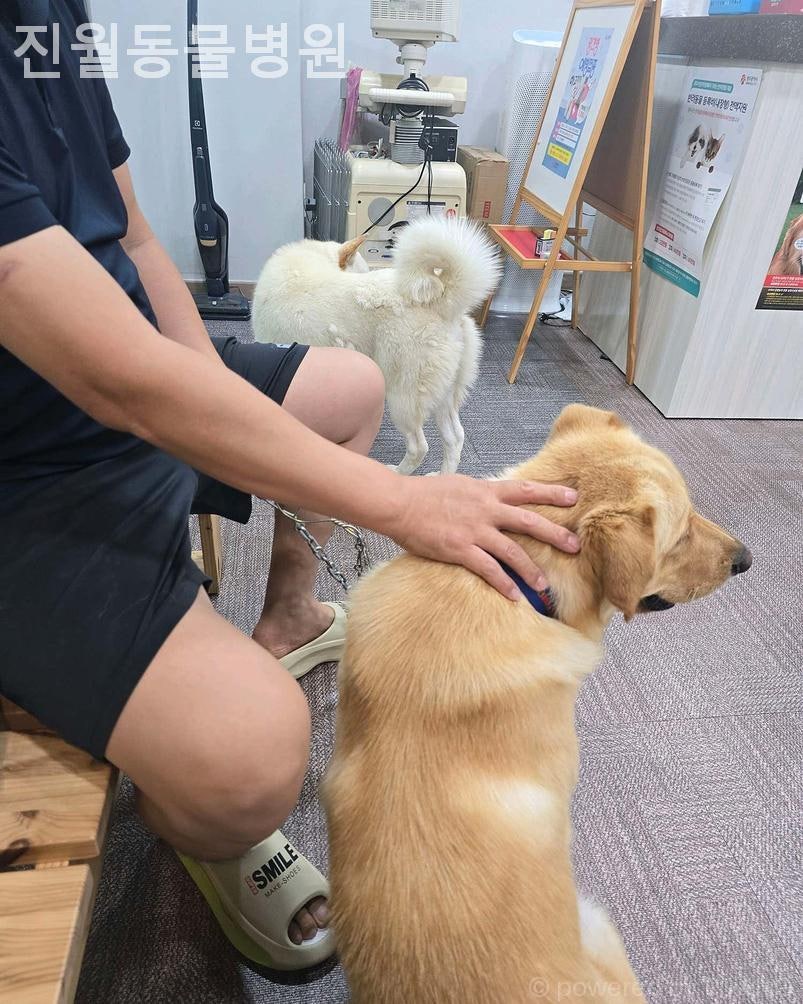 진월동물병원 사진 3