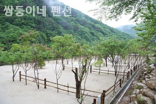 쌍둥이네 사진 2