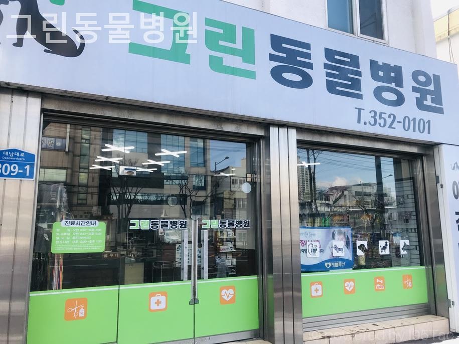 그린동물병원 사진 1