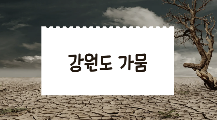 강원도 <b>강릉 가뭄</b>지역 현황과 해갈 상황, 해소 <b>대책</b> 총정리