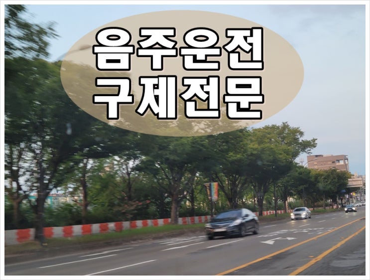  구리 음주운전 반성문 및 구제를 위한 행정심판