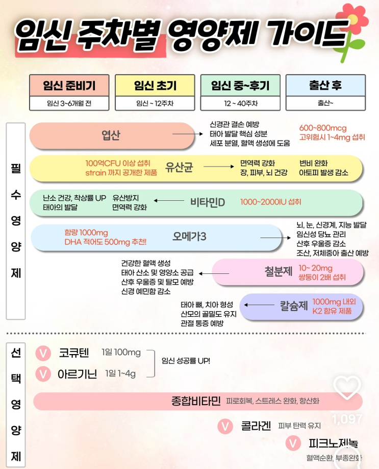  [출산] 임신 주차별 신청해야할것 및 영양제 가이드
