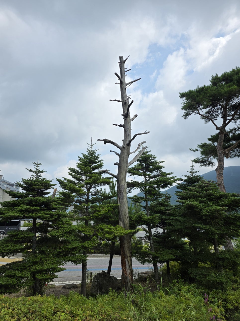 정선507미술관 사진 4