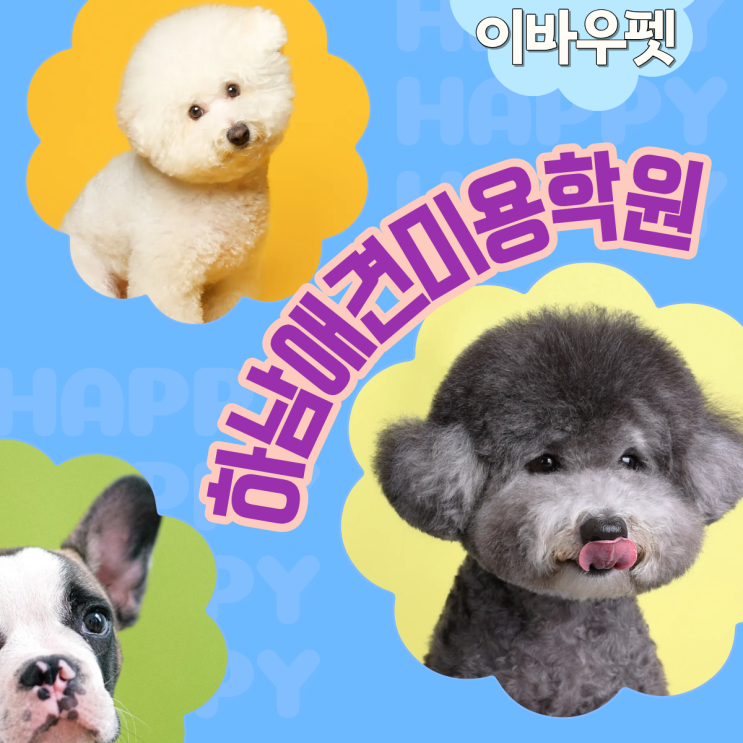  하남애견미용학원 안 배우면 후회하는 이유 TOP3