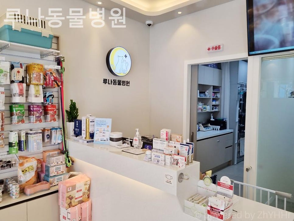 루나동물병원 사진 3
