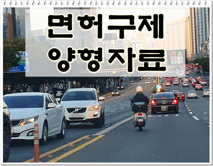  대전 음주운전 면허구제 반성문 탄원서 양형자료