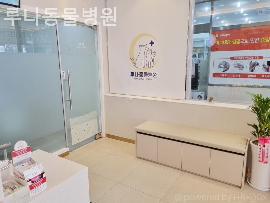 루나동물병원 사진 6