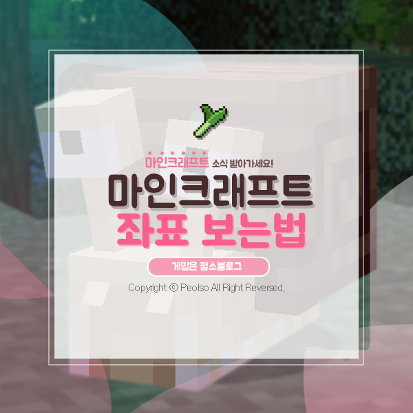 마크 좌표 보는법 & 티피 이동 명령어 100% 활용