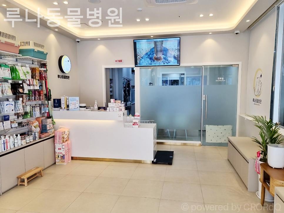 루나동물병원 사진 2