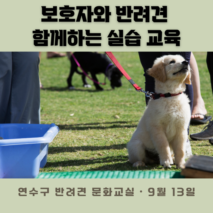  인천 연수구 2025년 9월 반려견 문화교실 안내