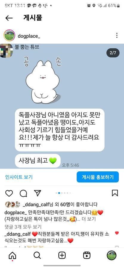 도그플레이스 사진 5
