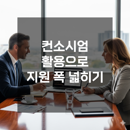  정부지원사업 중 정책자금 연계 항목 정리 부산 컨소시엄 활용으로 지원 폭을 넓히는 운용 방안