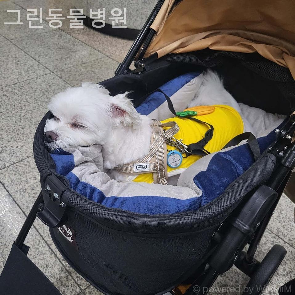그린동물병원 사진 2