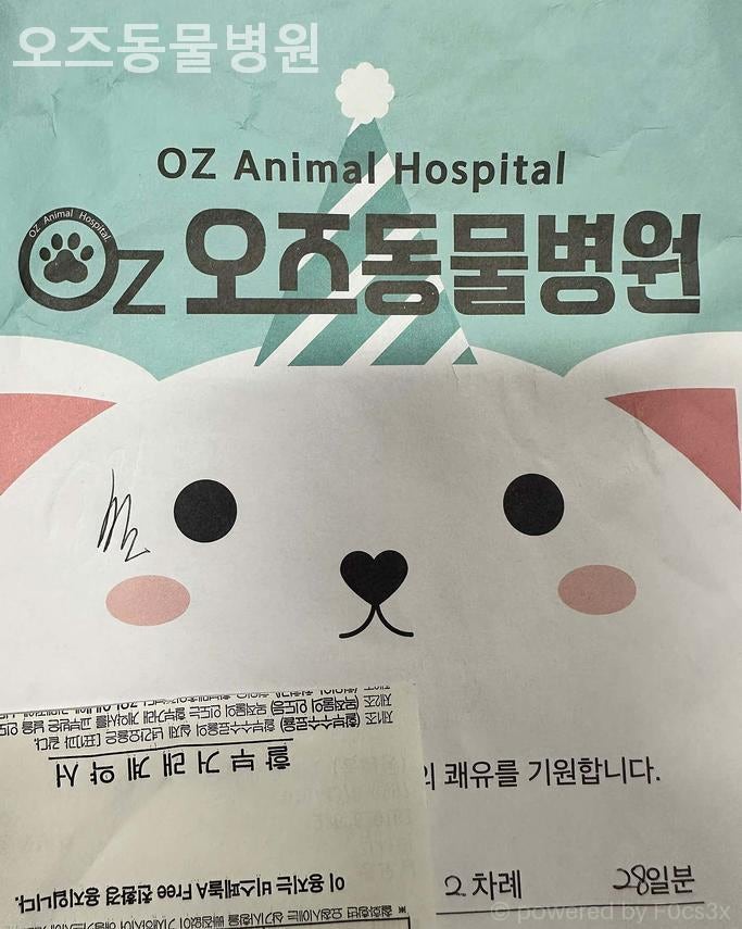 오즈동물병원 사진 3
