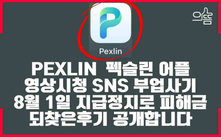  틱톡부업사기 Pexlin 펙슬린 팀미션피해자 돈 되찾는유일한방법