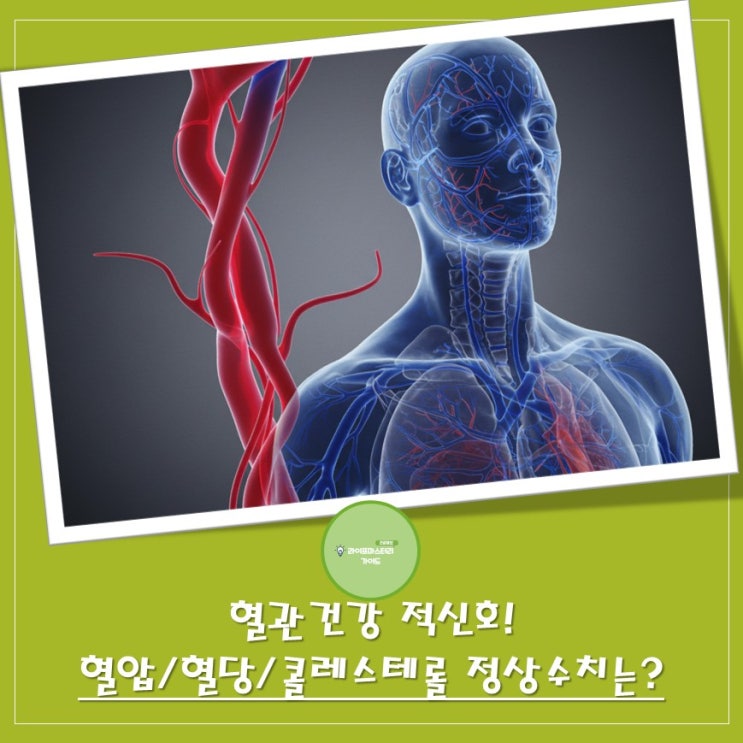  "혈관 건강"의 적신호! 혈압, 혈당, 콜레스테롤 정상 수치 확인하고 관리하기