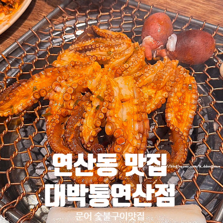  연산동 맛집 대박통 연산점 문어 숯불구이 닭구이 술안주로 최고