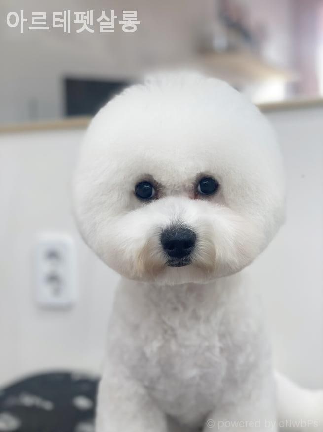 사진 6